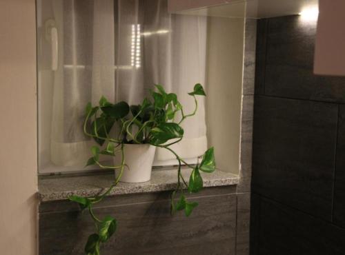 a couple of plants sitting on a window sill at Holiday House Franov in Zadar