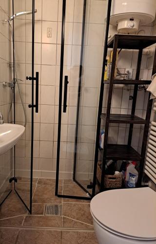 a bathroom with a shower and a toilet and a sink at Berlin Urlaub im Grünen in Berlin