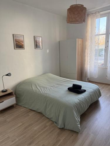 Llit o llits en una habitació de Appartement Hyper Centre Epinal