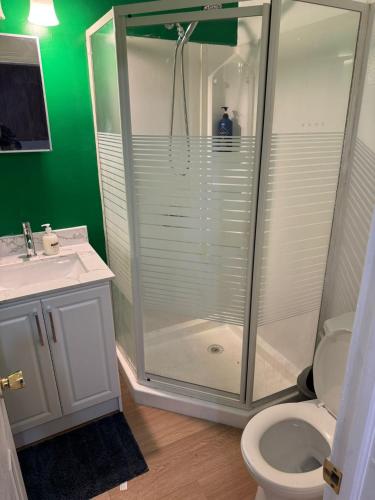 a bathroom with a shower and a toilet and a sink at Private Room With Washroom Near Airport D14 in Mississauga