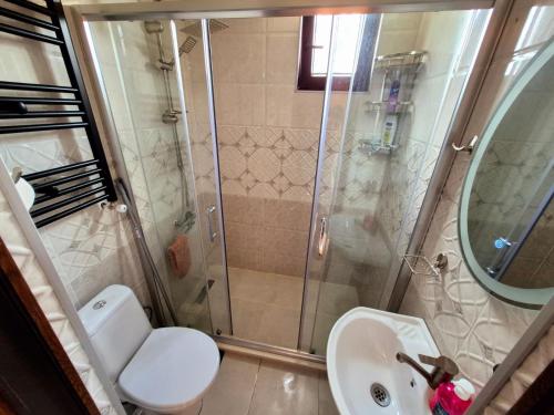 a bathroom with a shower and a toilet and a sink at tsilo in Batumi