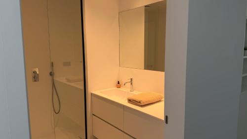 a bathroom with a sink and a shower and a mirror at The 996 Business Flat in Lommel