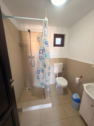 a bathroom with a shower with a toilet and a shower curtain at Casa David Turda in Turda