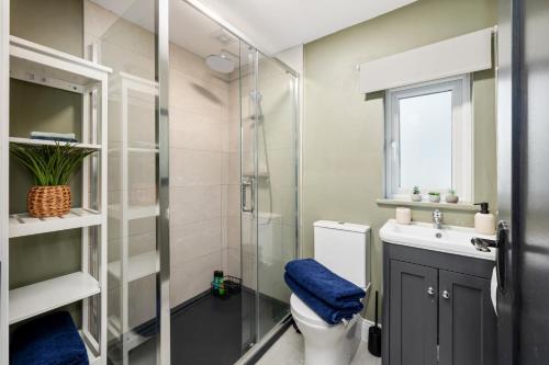 a bathroom with a shower and a toilet and a sink at The Meadows at Marlhill in Tipperary