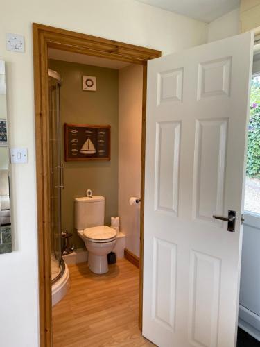 a bathroom with a toilet and a white door at Rosehill annexe in Knighton