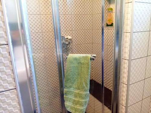 a shower with a green towel in a bathroom at Harmony Apartment in Strumica