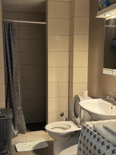 a bathroom with a toilet and a sink at Mira in Čajetina