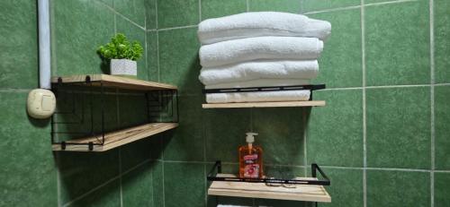 a bathroom with a green wall with shelves with towels at Casa Petunia, Managua in Managua
