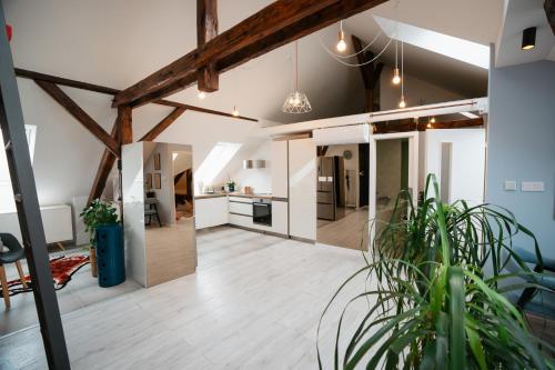 an open kitchen and living room in a loft at Premium Design Loft - Old Town in Košice