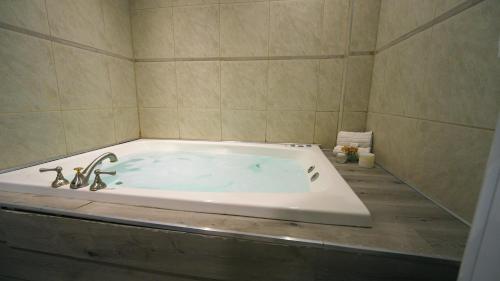 a bathroom with a bath tub with a sink at Hathor Concordia in Concordia
