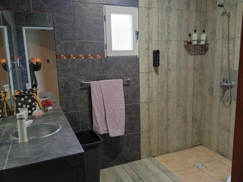 a bathroom with a sink and a shower at Virgen de Lourdes in Goya