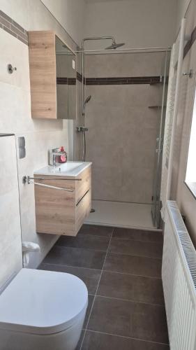 a bathroom with a toilet and a shower and a sink at Steigerstube in Clausthal-Zellerfeld