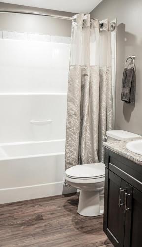 a bathroom with a toilet and a shower curtain at Grizzly Den in Valemount
