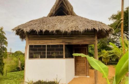 Shaka Surf Camp