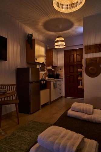 Rio Studio Apt
