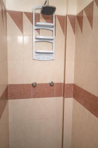 a shower with a towel rack in a bathroom at Hospedaje Villa Posadas in Momoxpan