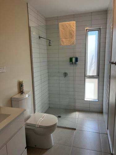 a white bathroom with a toilet and a shower at Bruny Seaview Escape in Alonnah