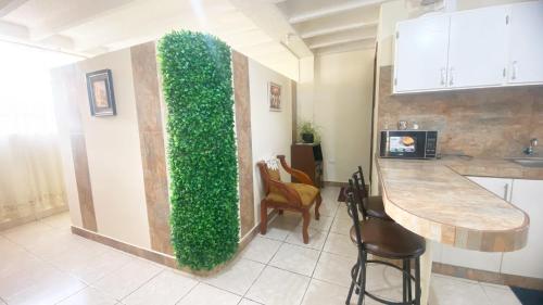 a living room with a green wall in a kitchen at SUITE AMOBLADA TODO INCLUIDO in Quito