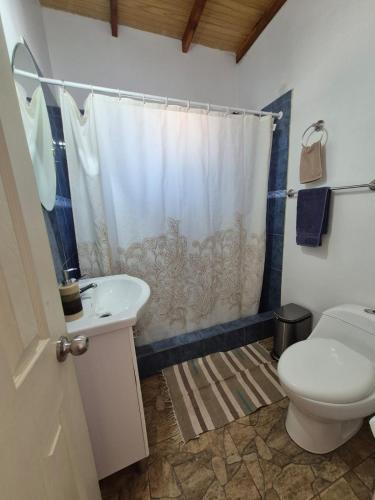 a bathroom with a toilet and a shower curtain at Cabañas La Marca in San Pedro de Atacama