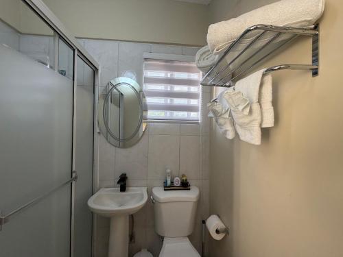 a bathroom with a toilet and a sink and a mirror at 1 BR Love Cube in Kingston