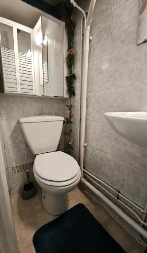 Jolie appartement au centre de Paris