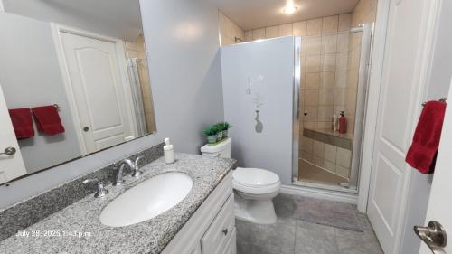 a bathroom with a sink and a toilet and a shower at Spacious 2 BR, 3 beds, sleeps 6, kitchen, laundry in Richmond Hill