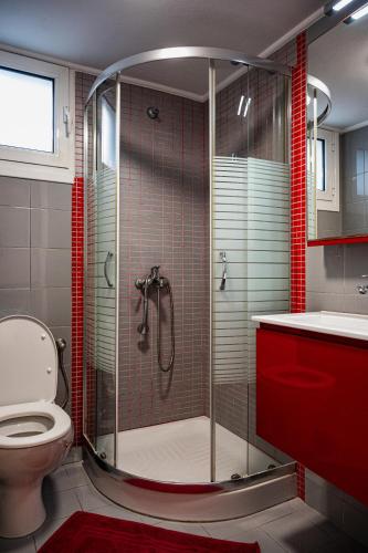 a bathroom with a shower and a toilet at Olive Nest, Cozy Apartment in Ammoudara in Ayía Marína