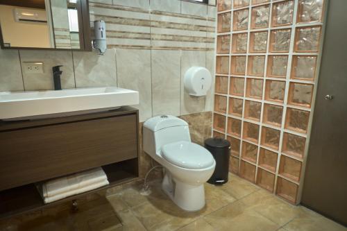 a bathroom with a toilet and a sink at Airport SJO Inn in Santiago Este