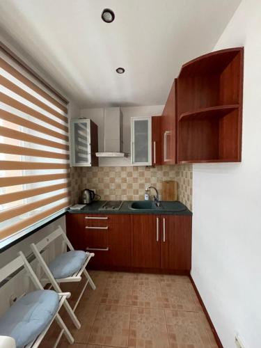 Kuhinja ili čajna kuhinja u objektu Central Park studio