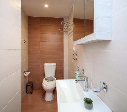 a small bathroom with a toilet and a sink at Leonardos Apartments in Naousa
