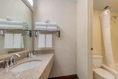 a bathroom with a sink and a toilet and a mirror at Clarion Hotel Anaheim Resort in Anaheim