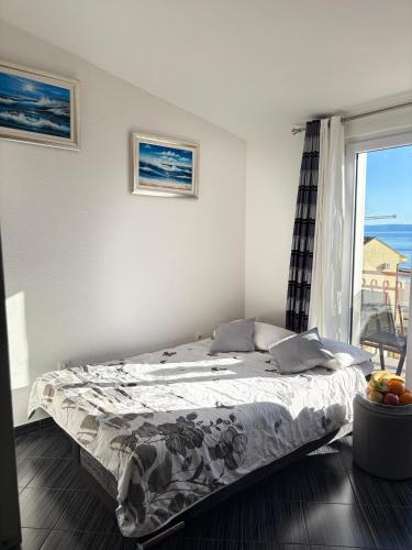 Apartment Wind Rose