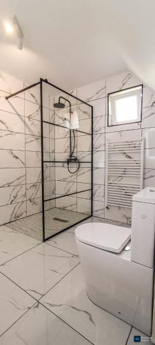 a white bathroom with a toilet and a shower at Căsuța din livadă in Secăria