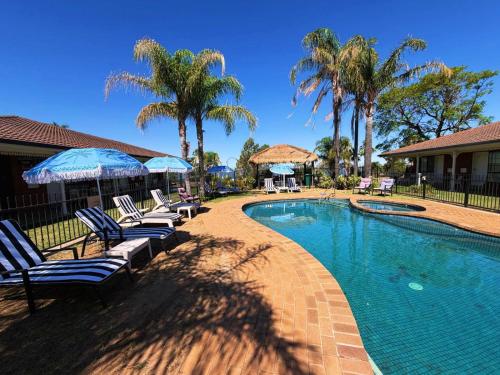 a swimming pool with chairs and umbrellas and palm trees at CAPRICORN MOTOR inn in Mulwala