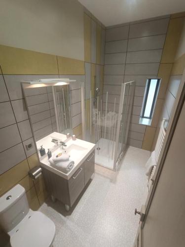 a bathroom with a sink and a toilet and a mirror at Chambre D’hôtes Parc Johan in Chauffailles