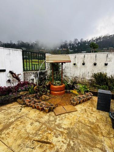 a garden with a umbrella and a bunch of plants at Shellys Cottage Nuwara Eliya in Nuwara Eliya