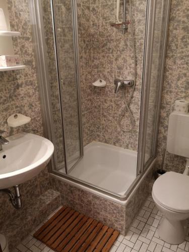 a bathroom with a shower and a toilet and a sink at Lindenhof Wohnung 19 in Dahme