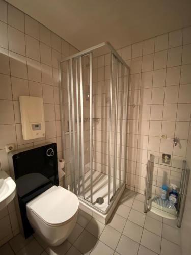 a bathroom with a shower and a white toilet at Saarstrasse 18h in Dahme
