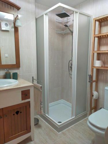 a bathroom with a shower with a sink and a toilet at Apartamento Asueto Ordesa in Broto