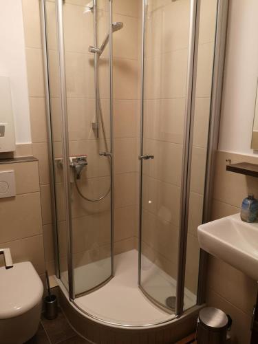 a shower with a glass door in a bathroom at Lindenhof Wohnung 20 in Dahme
