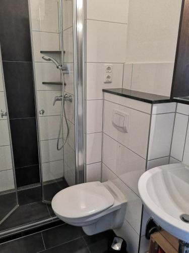 a bathroom with a toilet and a shower and a sink at Strandhotel Wohnung 42 in Dahme