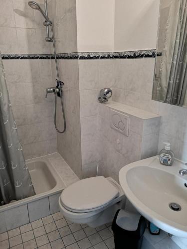 a bathroom with a toilet and a sink and a shower at Strandhotel Wohnung 31 in Dahme