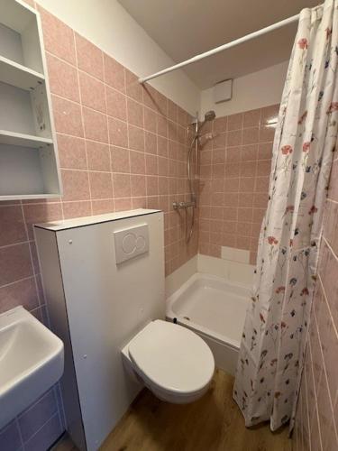a bathroom with a toilet and a sink and a shower at Ostseeliebe 5 in Dahme