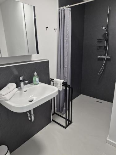 a bathroom with a white sink and a shower at Haus am Wittenwiewerbarg in Dahme