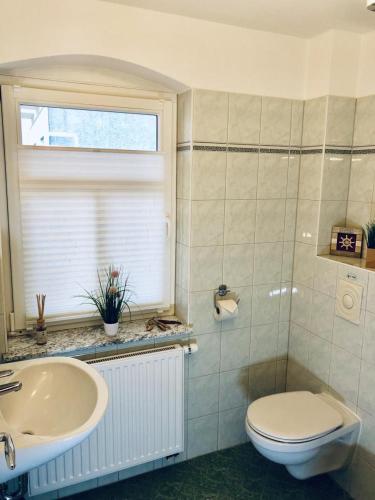 a bathroom with a toilet and a sink and a window at Villa Baltica Wohnung 01 in Dahme