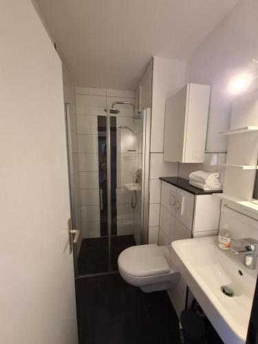a bathroom with a shower and a toilet and a sink at Strandhotel Wohnung 30 in Dahme