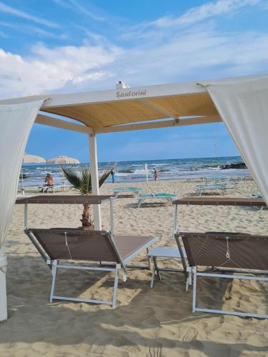 two chairs and an umbrella on the beach at Hotel Brezza Nuova Gestione in Rimini