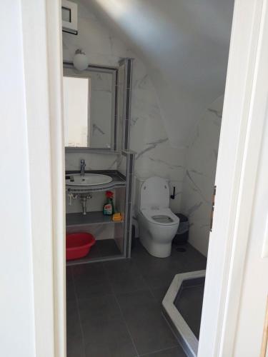 a bathroom with a toilet and a sink at Almiriki- Ground Floor Seafront Studio in Elafonisos