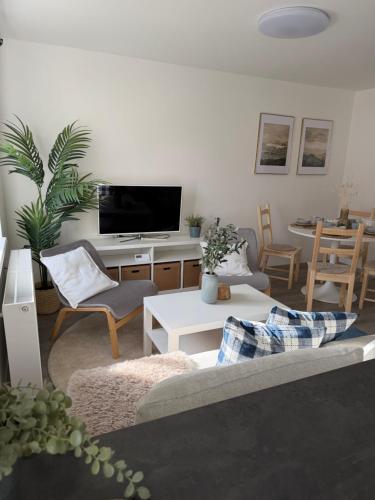 a living room with a couch and a tv at Apartmány Loučky Litvínov in Litvínov