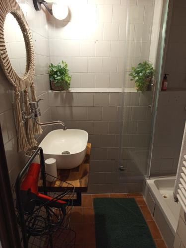 a bathroom with a sink and a shower at Chata Žár in Žár